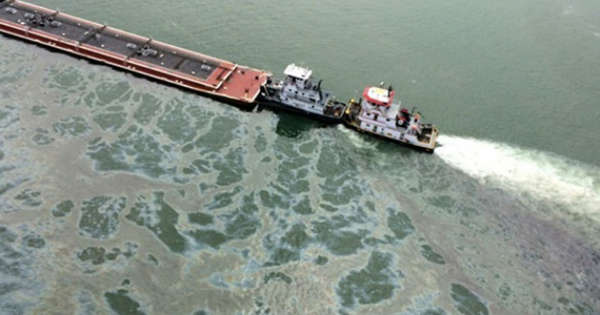 Kapal Tanker Bermuatan 750 Ton Tenggelam di Perairan Tunisia, Berpotensi Sebabkan Bencana Lingkungan